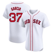 White Elite Jhostynxon Garcia Men's Boston Red Sox Home Jersey